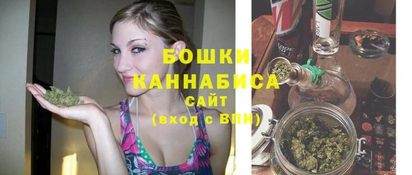 spice Арсеньев
