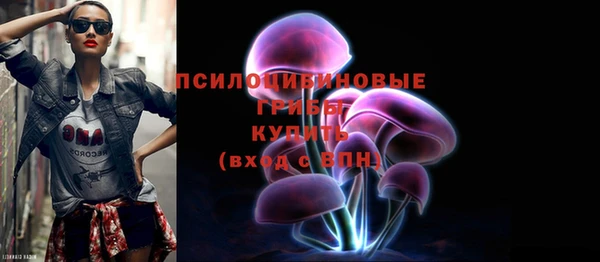 spice Арсеньев