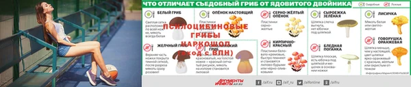 гидропоника Аркадак