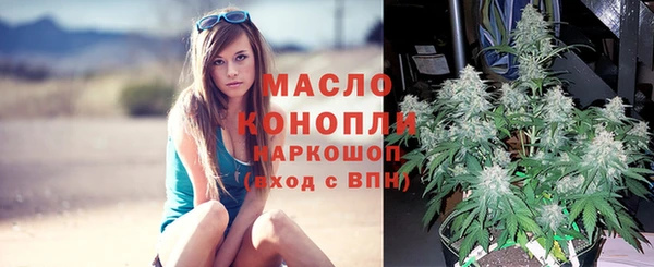 гидропоника Аркадак