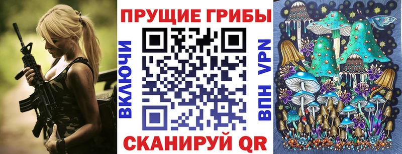 mega маркетплейс  Аша  Галлюциногенные грибы Psilocybe 